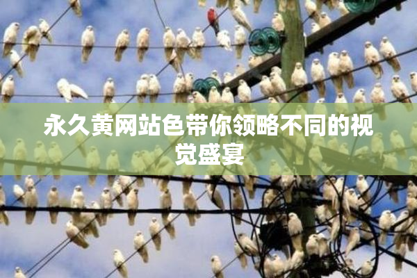 永久黄网站色带你领略不同的视觉盛宴