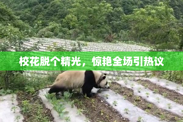 校花脱个精光，惊艳全场引热议