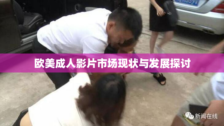 欧美成人影片市场现状与发展探讨