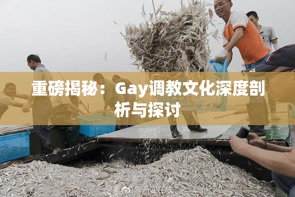 重磅揭秘：Gay调教文化深度剖析与探讨