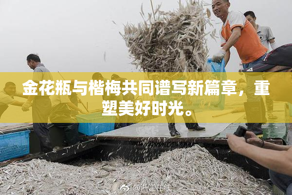 金花瓶与楷梅共同谱写新篇章，重塑美好时光。