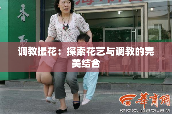 调教撮花：探索花艺与调教的完美结合