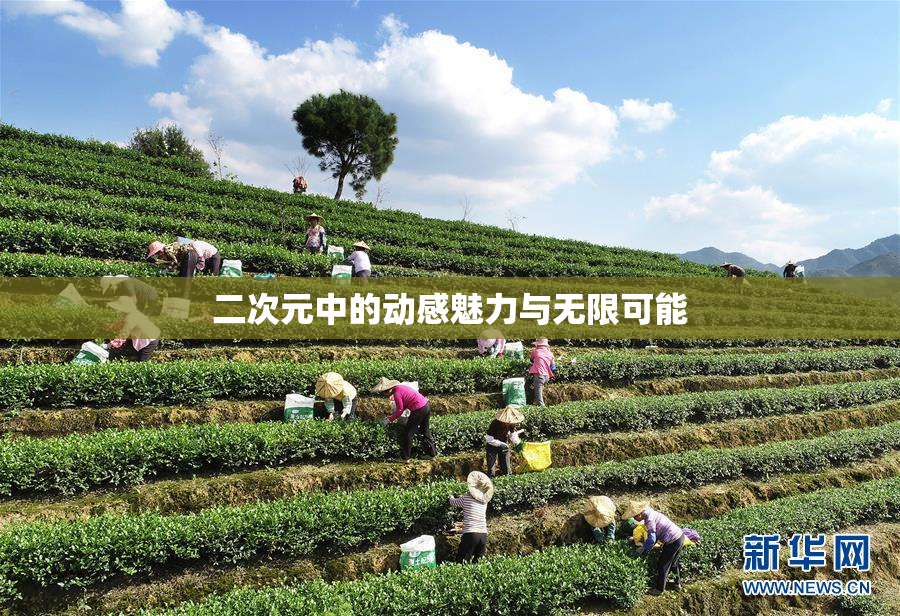 二次元中的动感魅力与无限可能