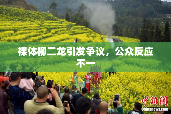 裸体柳二龙引发争议，公众反应不一