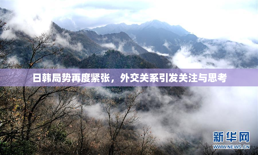 日韩局势再度紧张，外交关系引发关注与思考