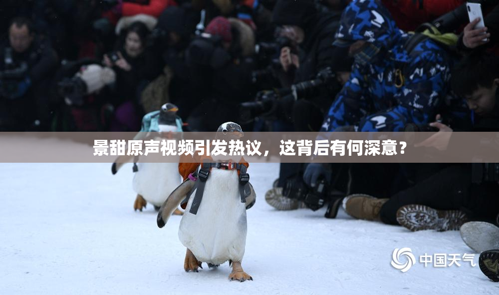 景甜原声视频引发热议，这背后有何深意？
