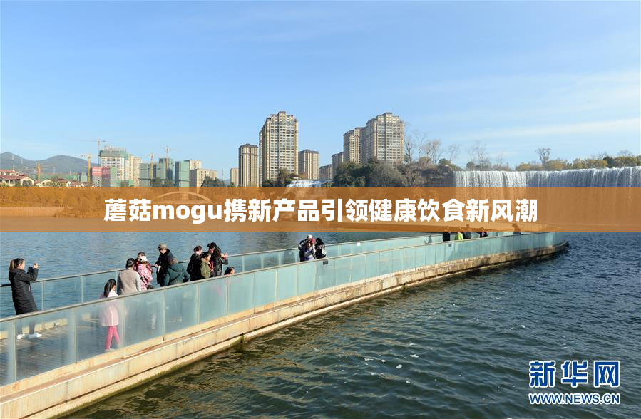 蘑菇mogu携新产品引领健康饮食新风潮