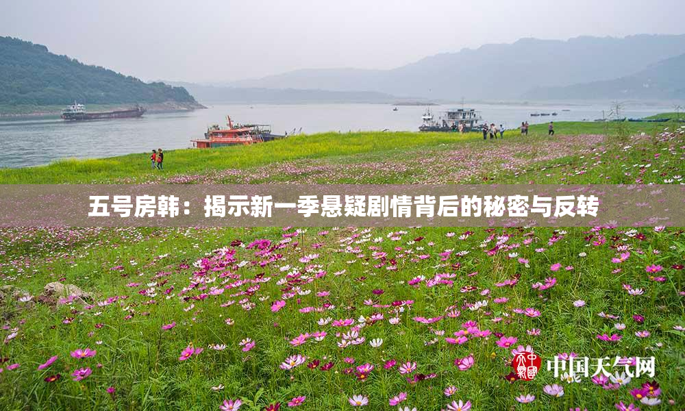 五号房韩：揭示新一季悬疑剧情背后的秘密与反转