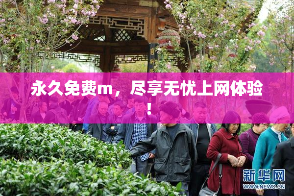 永久免费m，尽享无忧上网体验！