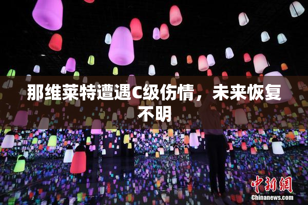 那维莱特遭遇C级伤情，未来恢复不明