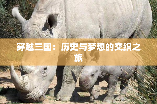 穿越三国：历史与梦想的交织之旅