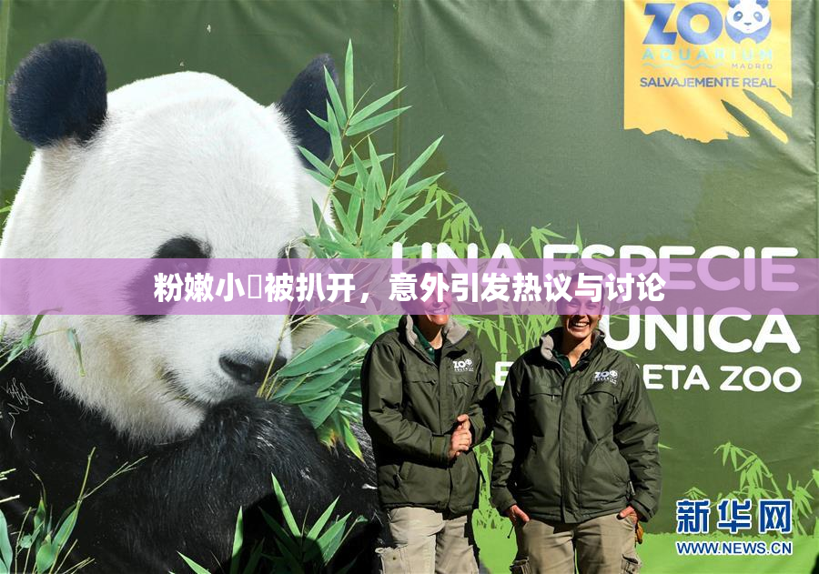粉嫩小泬被扒开，意外引发热议与讨论