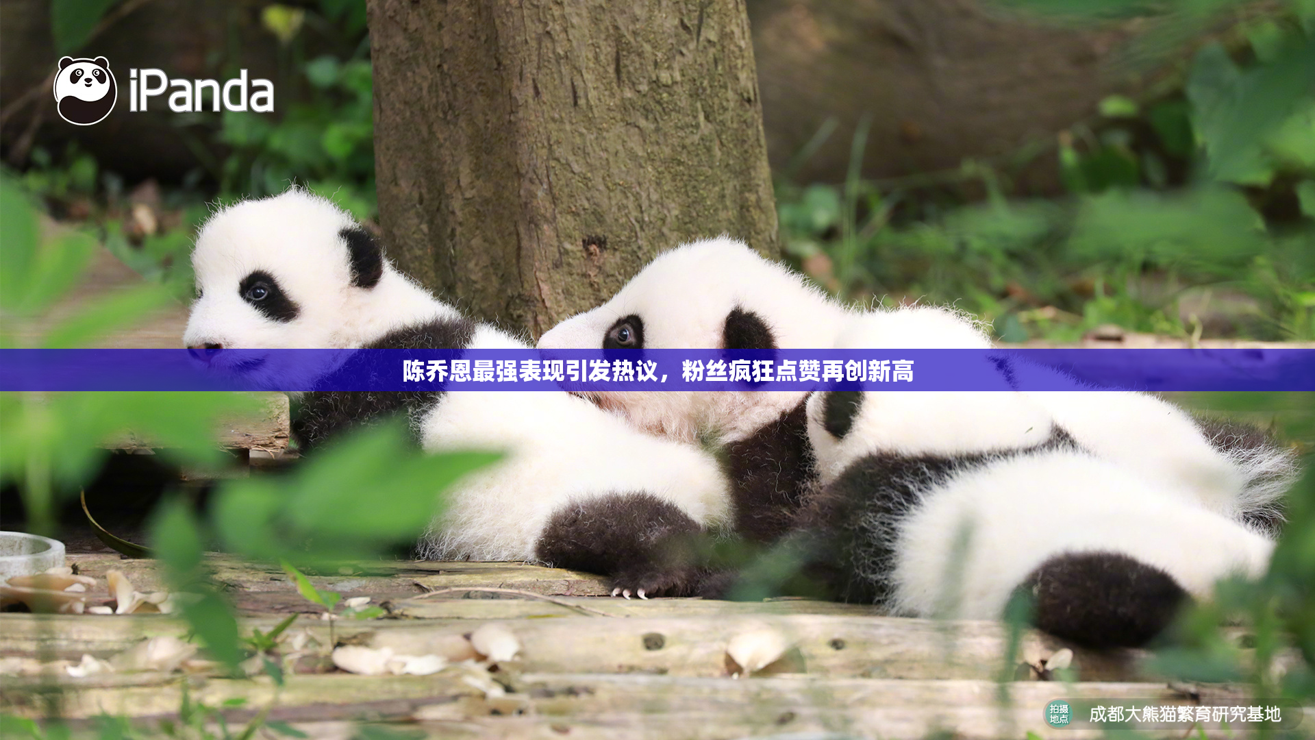 陈乔恩最强表现引发热议，粉丝疯狂点赞再创新高