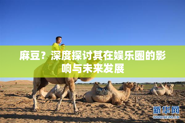 麻豆？深度探讨其在娱乐圈的影响与未来发展