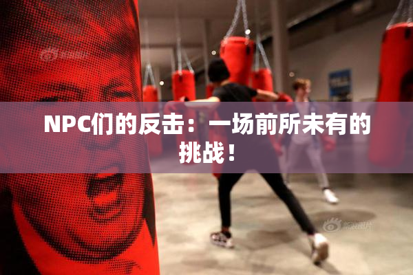 NPC们的反击：一场前所未有的挑战！
