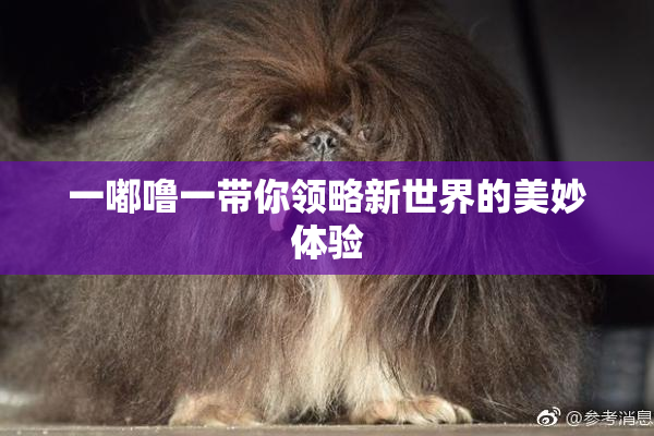 一嘟噜一带你领略新世界的美妙体验