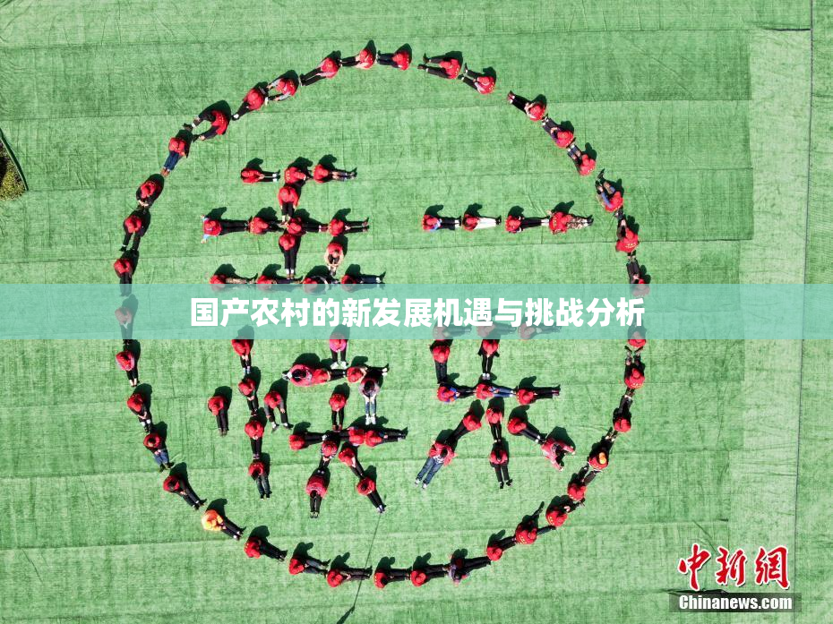 国产农村的新发展机遇与挑战分析