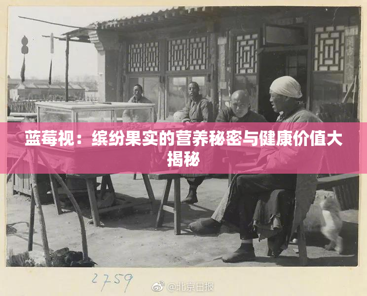 蓝莓视：缤纷果实的营养秘密与健康价值大揭秘