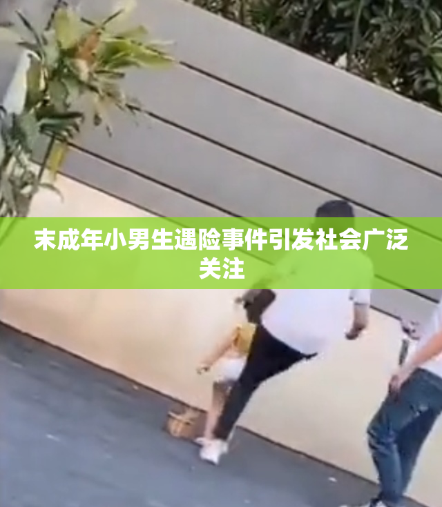 末成年小男生遇险事件引发社会广泛关注