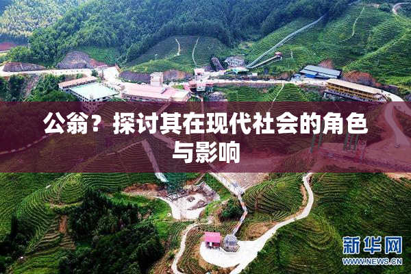 公翁？探讨其在现代社会的角色与影响