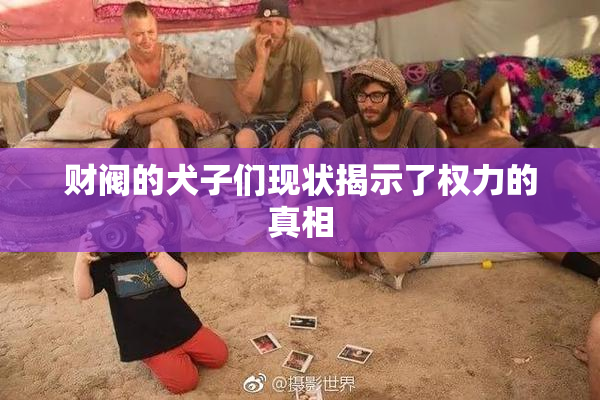 财阀的犬子们现状揭示了权力的真相