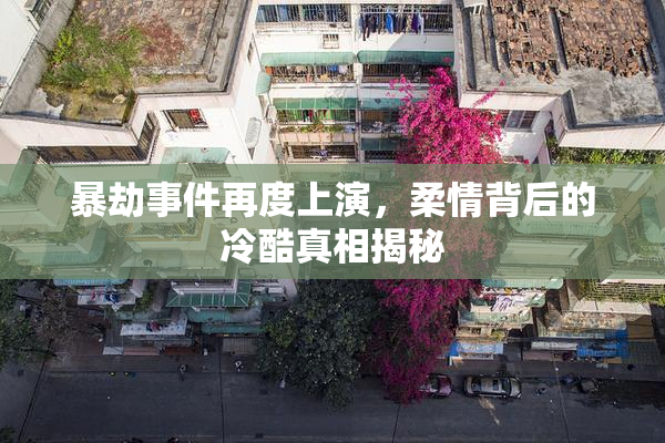 暴劫事件再度上演，柔情背后的冷酷真相揭秘