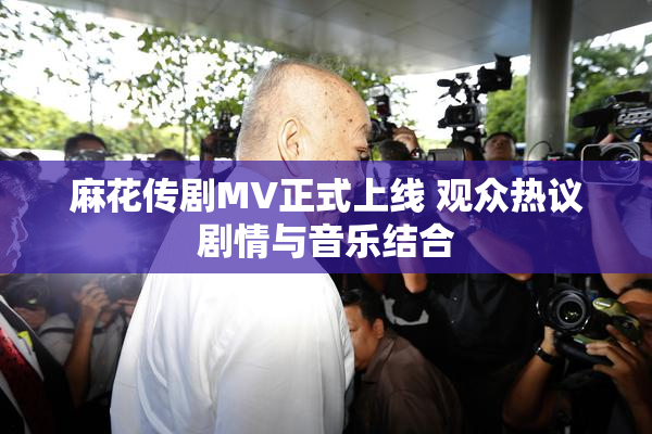 麻花传剧MV正式上线 观众热议剧情与音乐结合