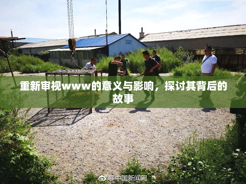 重新审视www的意义与影响，探讨其背后的故事