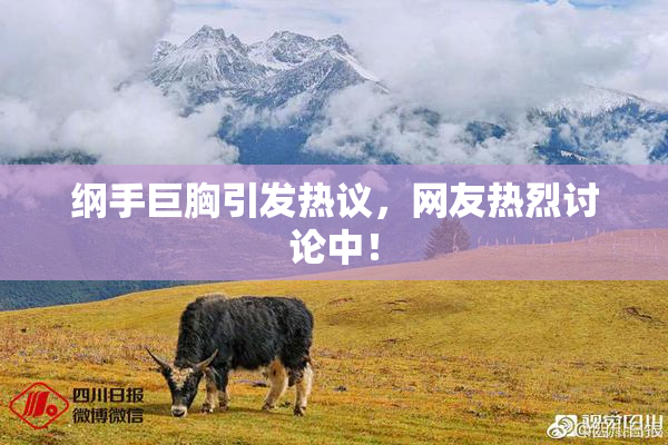 纲手巨胸引发热议，网友热烈讨论中！