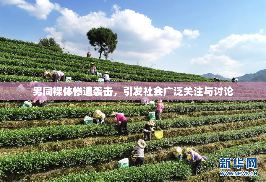男同裸体惨遭袭击，引发社会广泛关注与讨论