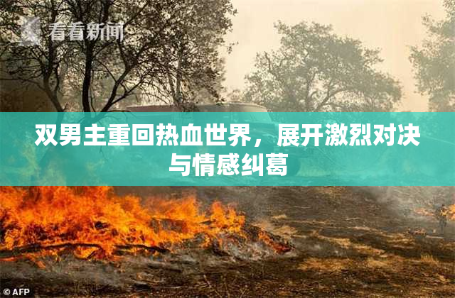 双男主重回热血世界，展开激烈对决与情感纠葛