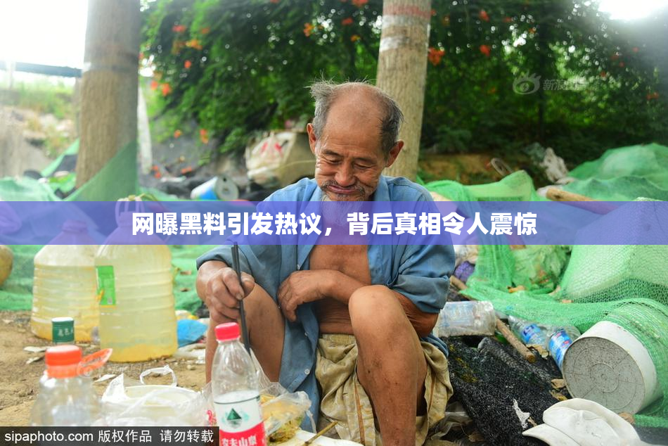 网曝黑料引发热议，背后真相令人震惊