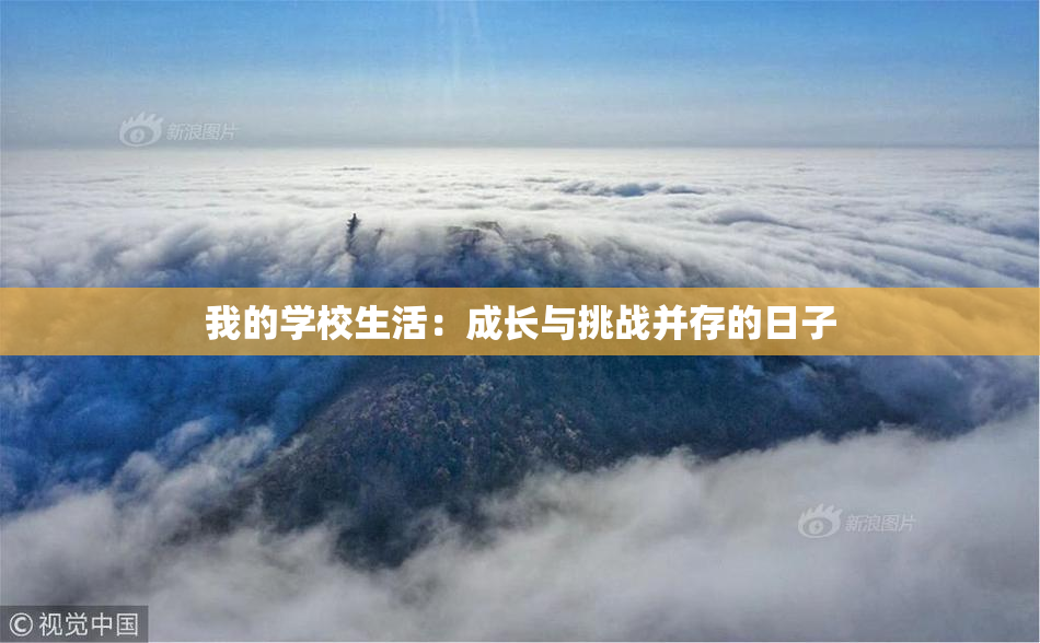 我的学校生活：成长与挑战并存的日子