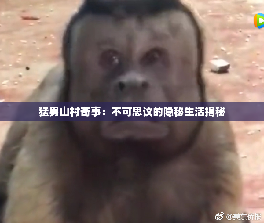 猛男山村奇事：不可思议的隐秘生活揭秘