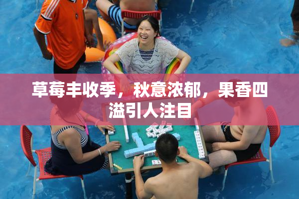 草莓丰收季，秋意浓郁，果香四溢引人注目