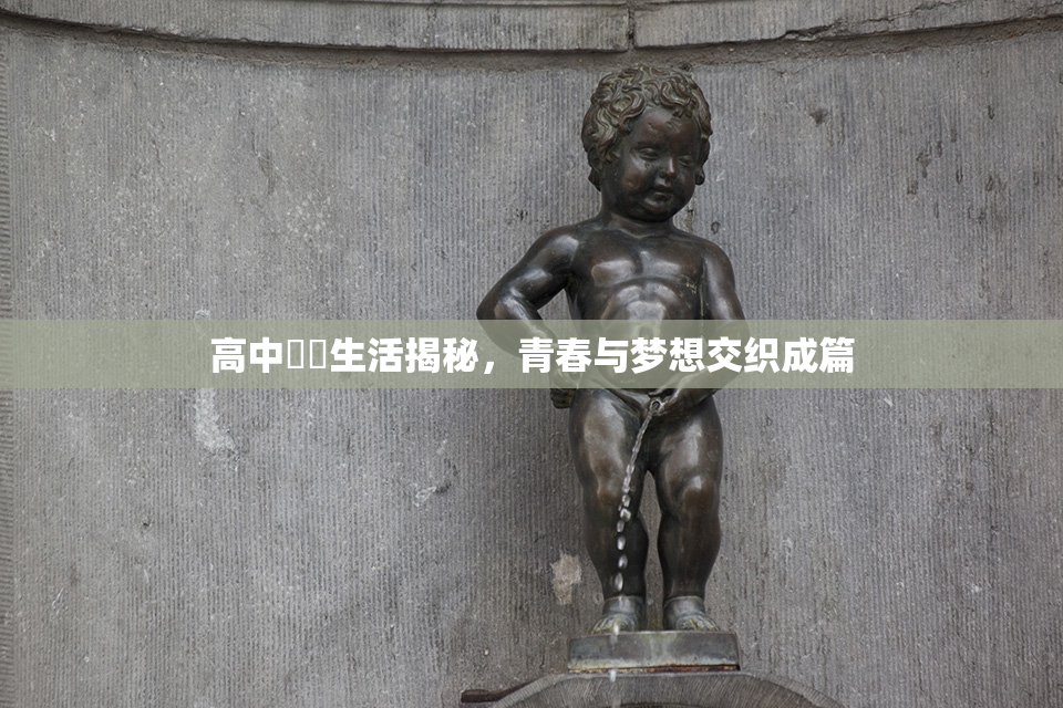 高中妺妺生活揭秘，青春与梦想交织成篇