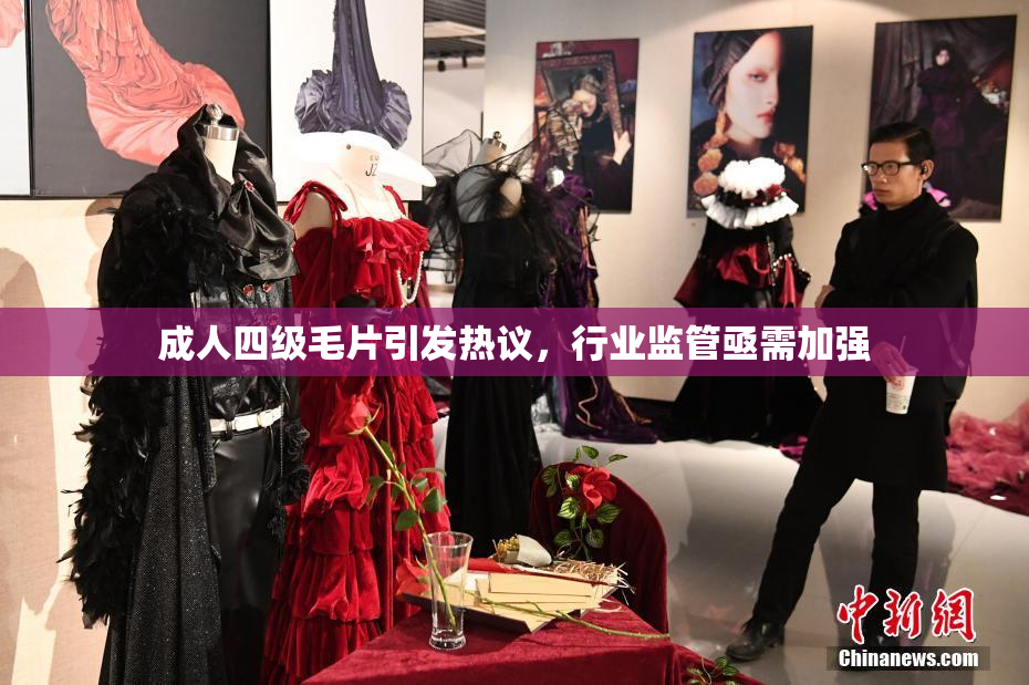 成人四级毛片引发热议，行业监管亟需加强