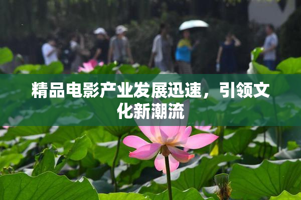 精品电影产业发展迅速，引领文化新潮流