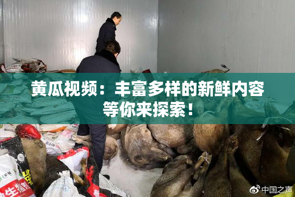 黄瓜视频：丰富多样的新鲜内容等你来探索！