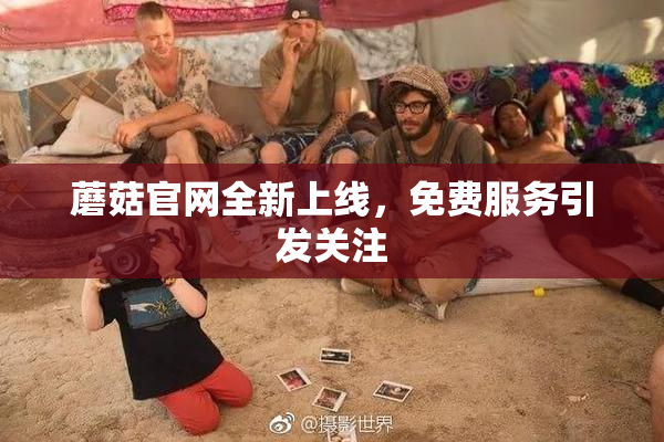蘑菇官网全新上线，免费服务引发关注