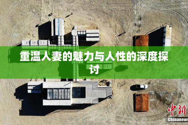 重温人妻的魅力与人性的深度探讨
