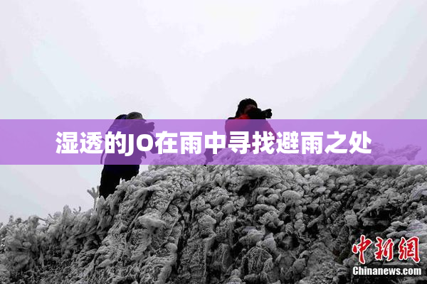 湿透的JO在雨中寻找避雨之处