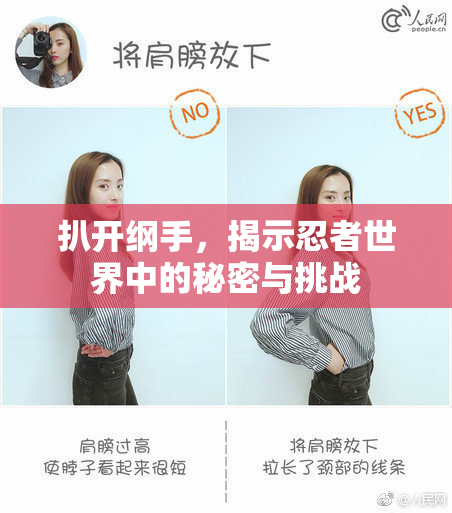 扒开纲手，揭示忍者世界中的秘密与挑战