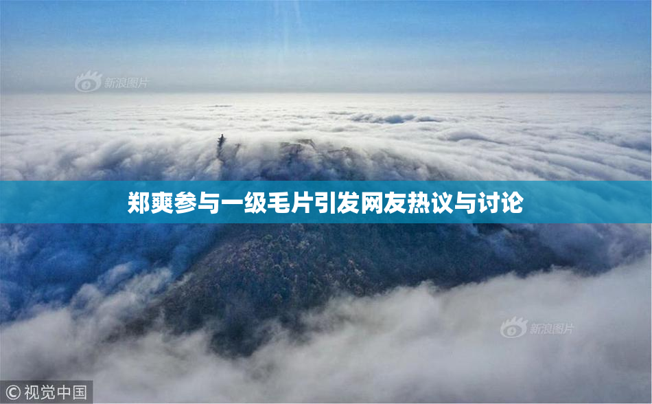 郑爽参与一级毛片引发网友热议与讨论