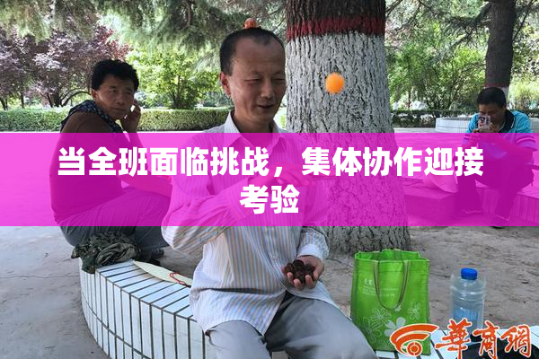当全班面临挑战，集体协作迎接考验