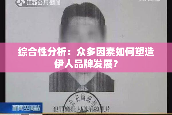 综合性分析：众多因素如何塑造伊人品牌发展？