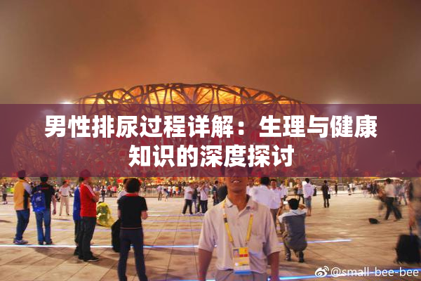 男性排尿过程详解：生理与健康知识的深度探讨