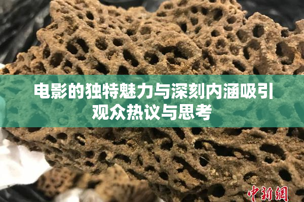 电影的独特魅力与深刻内涵吸引观众热议与思考