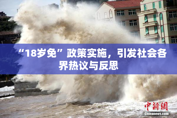 “18岁免”政策实施，引发社会各界热议与反思