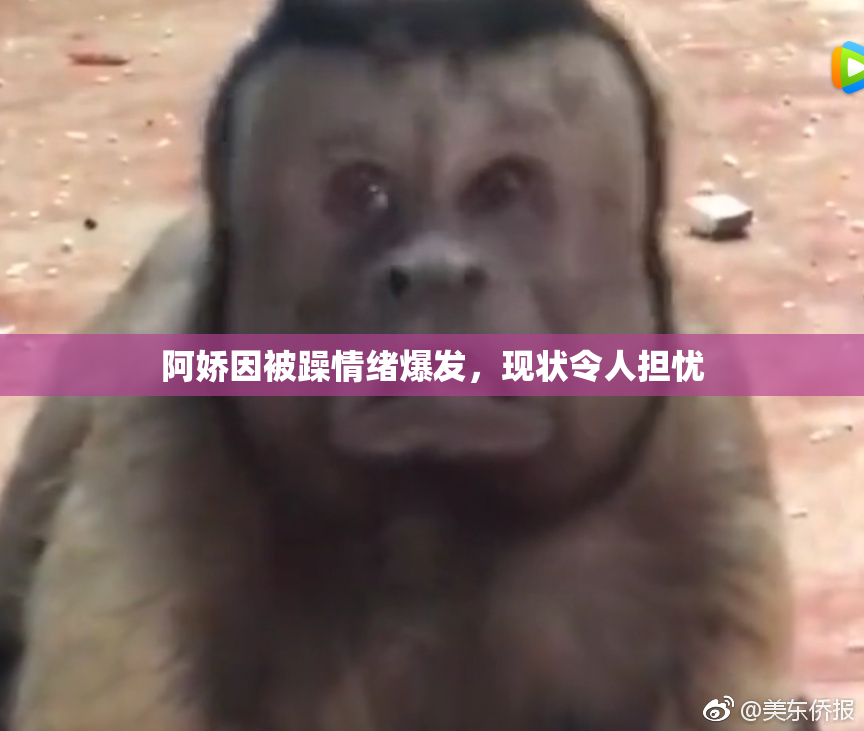 阿娇因被躁情绪爆发，现状令人担忧
